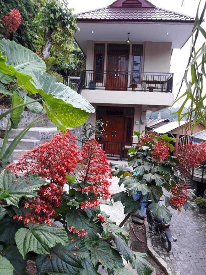 Hotel Bukit Lawang Extérieur photo